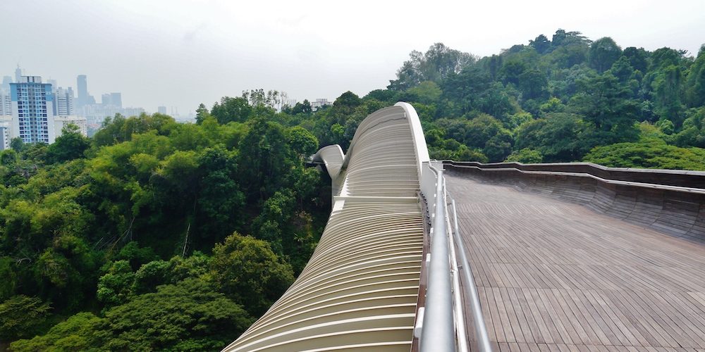 the-sountern-ridges-henderson-waves-singapore the-sountern-ridges-henderson-waves-singapore