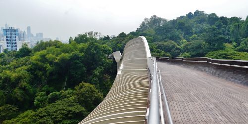 the-sountern-ridges-henderson-waves-singapore